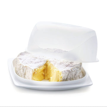 CheeSmart Small Square